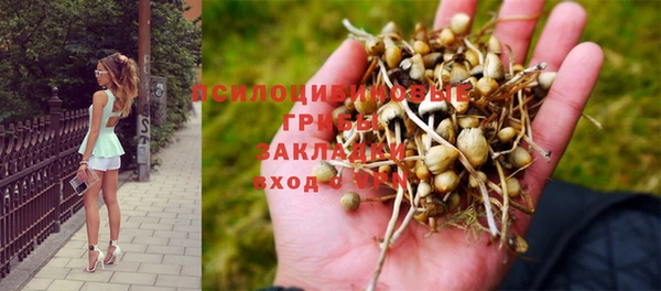 MESCALINE Алзамай