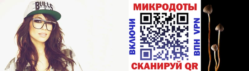 Псилоцибиновые грибы Psilocybine cubensis  Новосиль 