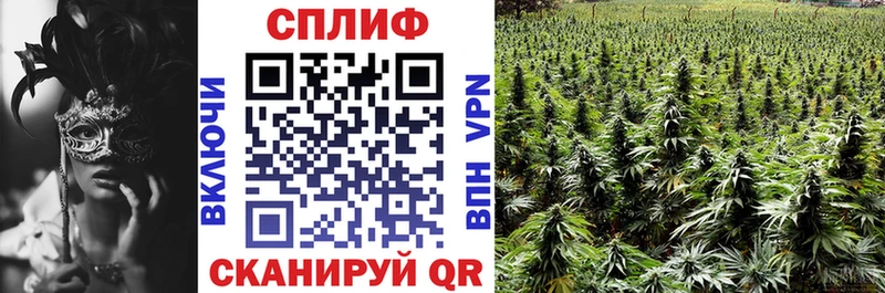 Шишки марихуана план Новосиль